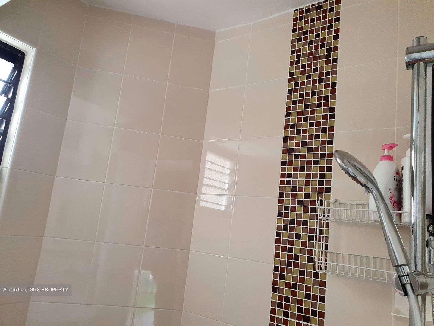 Jurong East Street 13 (Jurong East), HDB HUDC #408065691